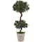 Nearly Natural; 4.5ft. Sweet Bay Double Topiary Tree in Farmhouse Planter; Category:Trees & Floor Plants; Image:2